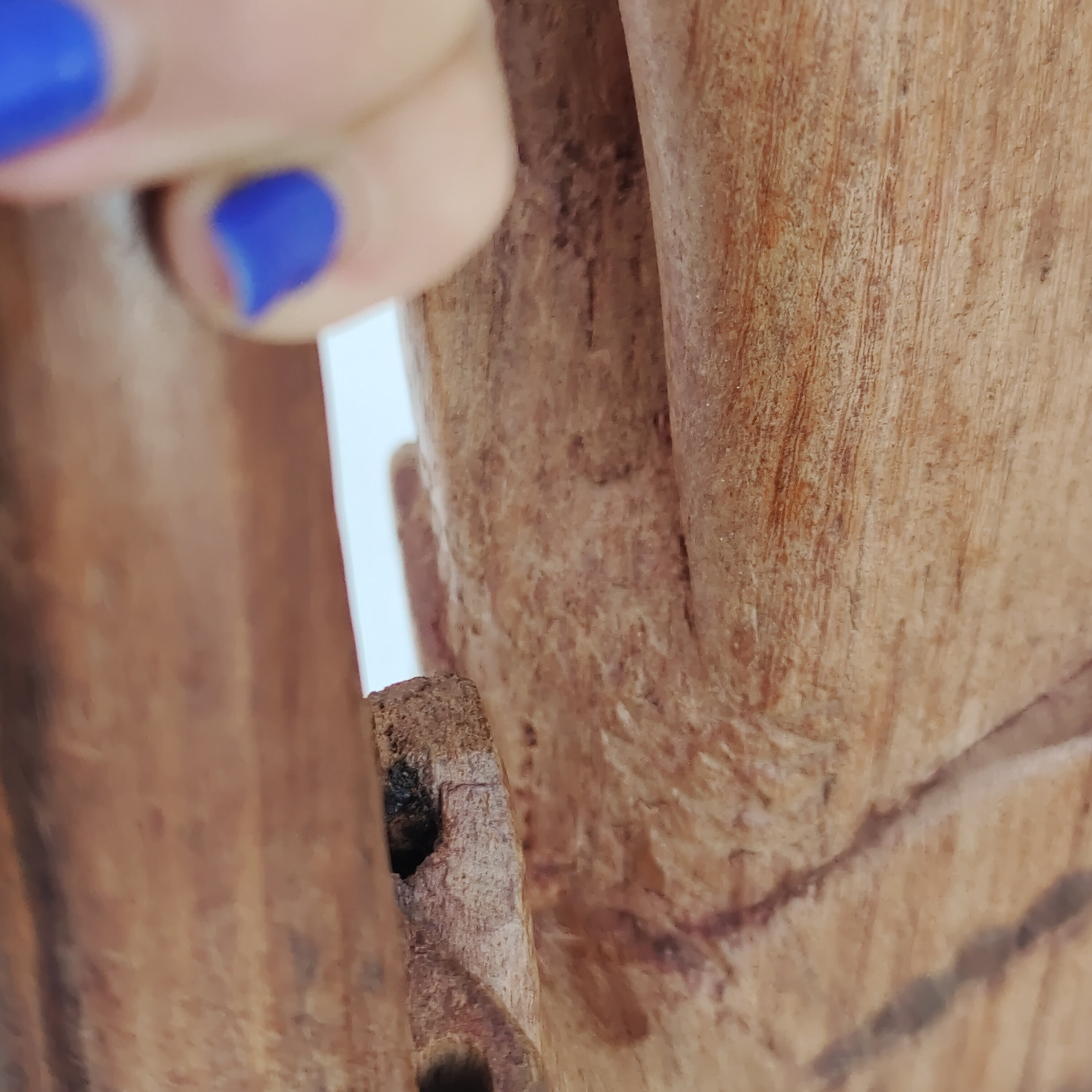 大きな象のチーク材の手彫りの木製テーブル動物フィギュアアフリカの