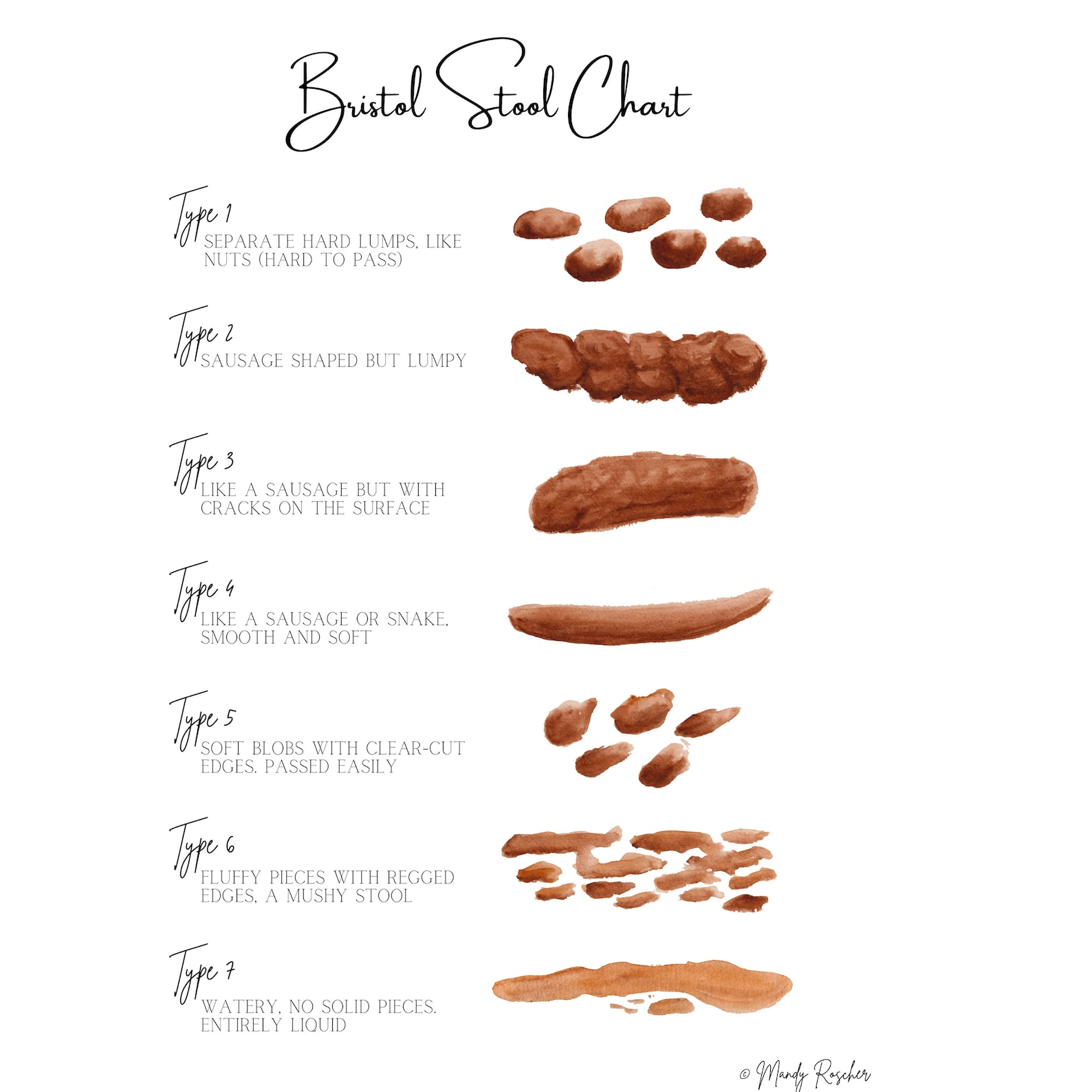 Bristol Stool Chart - Watercolour Digital Art Download - Etsy Australia