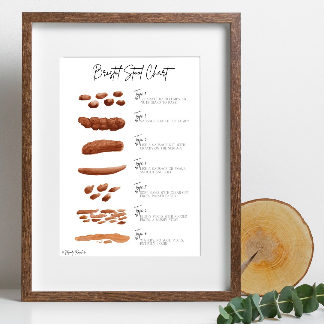 Bristol Stool Chart - Watercolour Digital Art Download - Etsy