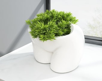 Woman Butt Succulent Vase 3d Stl