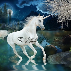 Midnight Unicorn Digital Background for Photographers, composites