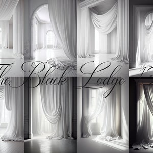 Digital Backgrounds for Photographers - 8 White Draped windows + 1 Bonus Background