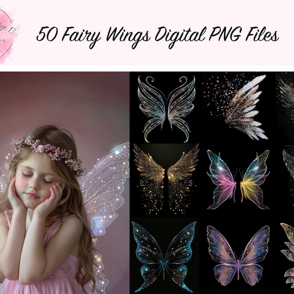Fairy Wings Digital Overlays Photo Textures