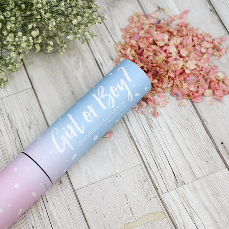 Gender Reveal Confetti Cannon Biodegradable Dried Petals Etsy