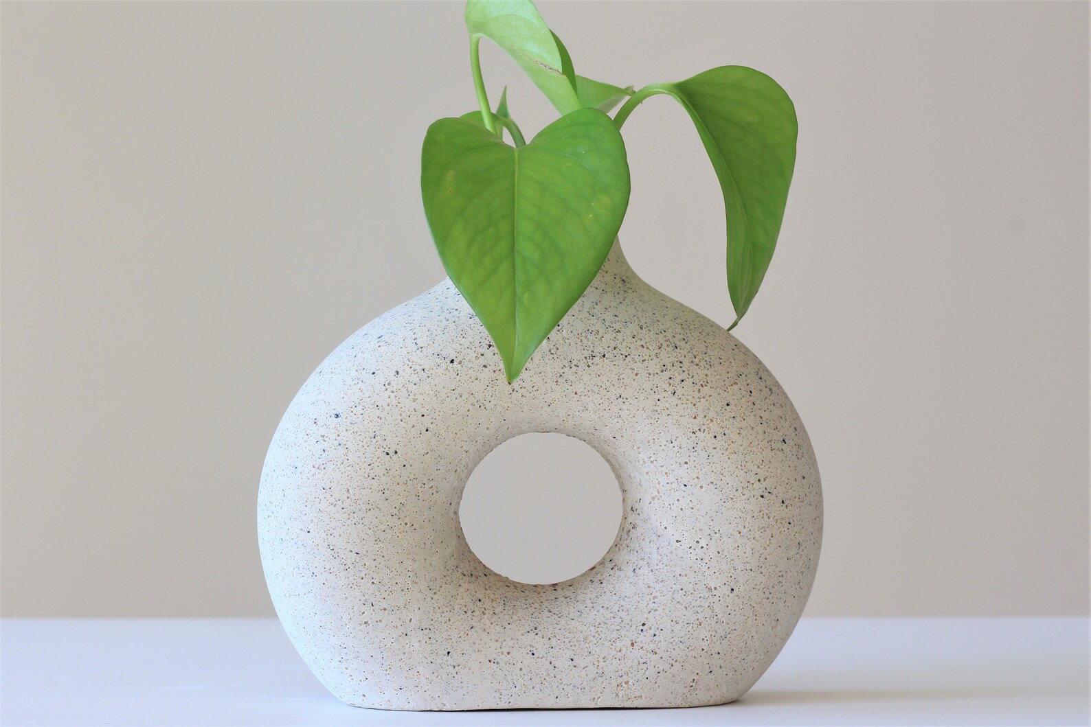 Donut Vase Nordic Vase Stylish Gypsum Vase Etsy