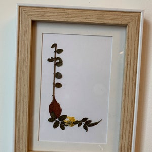 PINTURA DECORATIVA Flores secas Letra L
