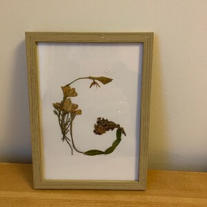PINTURA decorativa flores secas Letra G