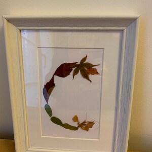 Pintura decorativa artesanal padrão de carta flores secas Letra C
