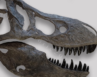 世界に一つ、不世出！ティラノサウルス・レックス　頭骨　1/10 木彫16.5cm 世界に一つ、不世出！ティラノサウルス・レックス 頭骨 1/10