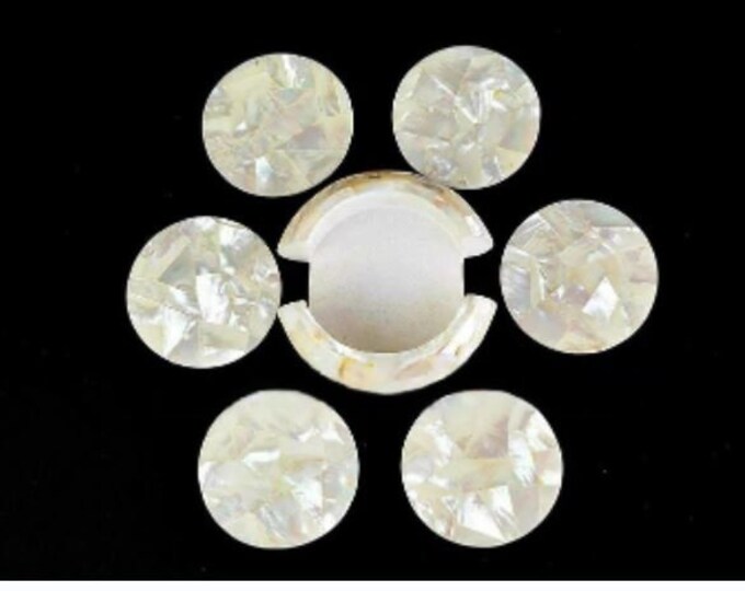 Marble Coaster Set Semi Precious Stones Pietra Dura overlay Work Home Decor