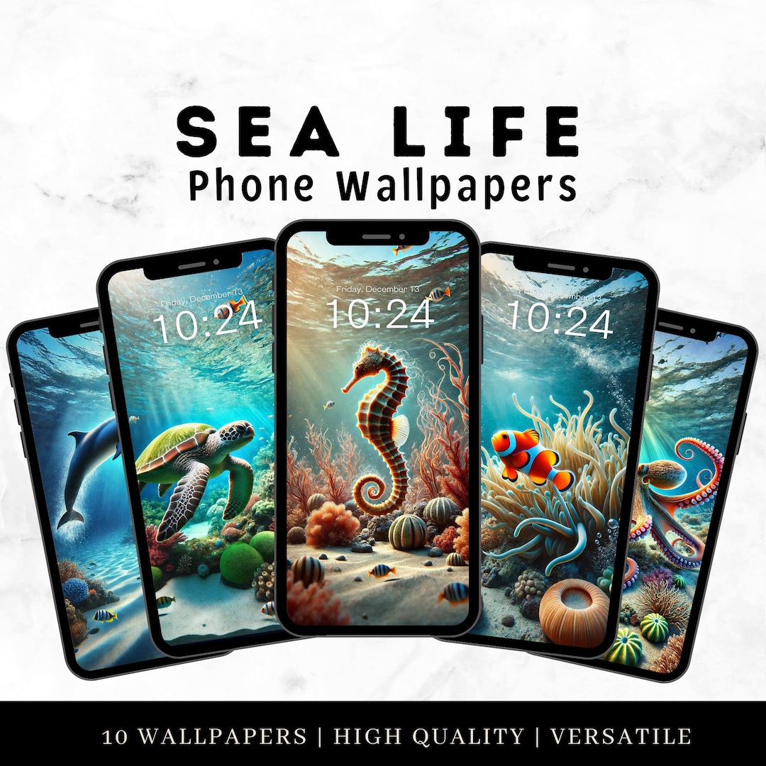 Sea Animal Phone Wallpapers | 10 Sea Life Phone Backgrounds for iPhone