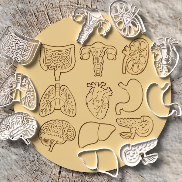 Human Body Organ Cookie Cutters: Brain, Lung, Kidney, Stomach | Biology Anatomy Cutters | Medical Student Gift