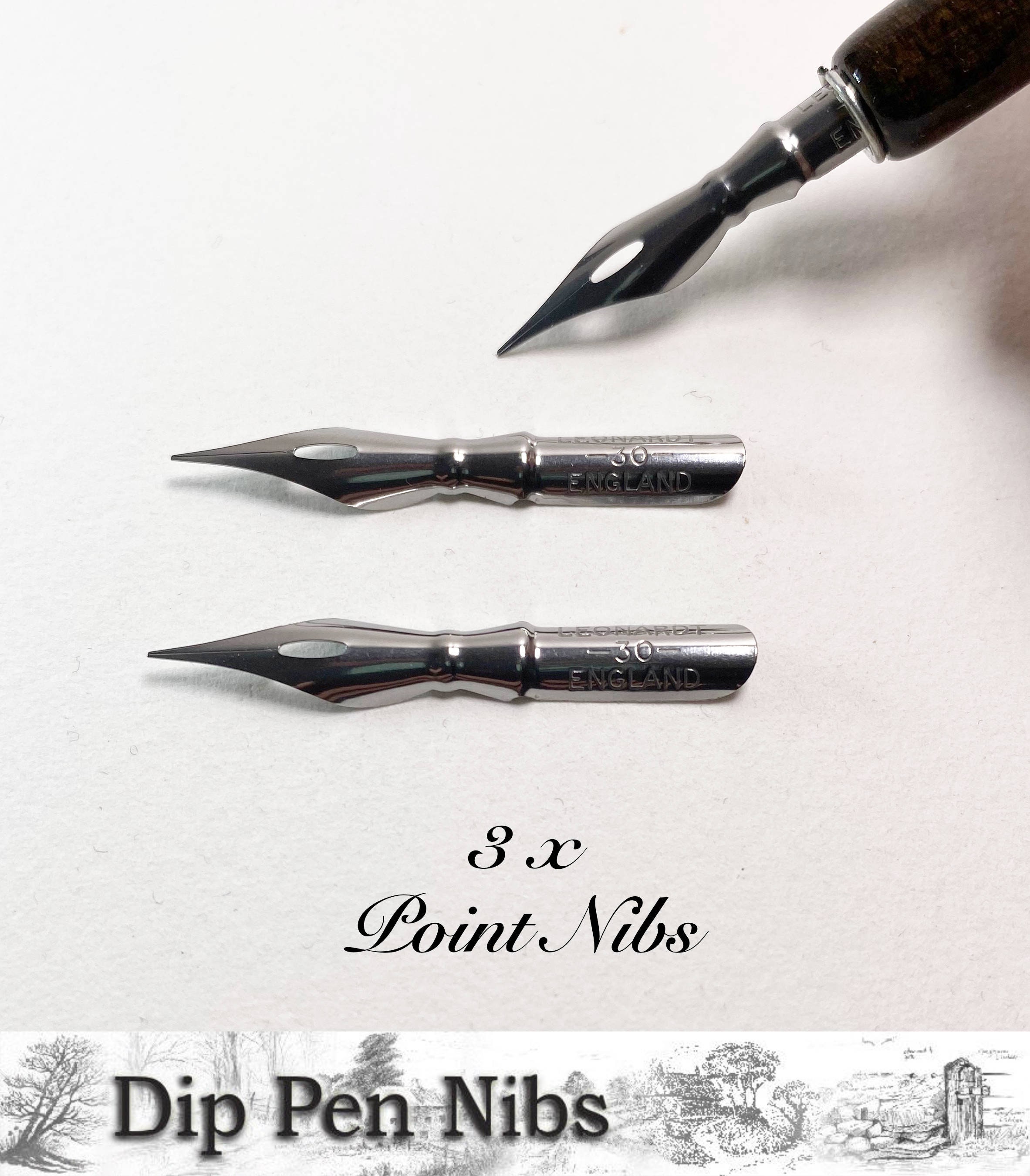 Zebra G Nibs for Beginners, Modern Calligraphy Nibs Writing Gift, Dip Pen  Calligraphy Nibs Set, Flexible Nibs Personalised Gift 