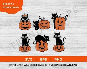 Black Cat Pumpkin png,Fall Png, retro halloween png, Gothic png,Ghots Cat png,  black cat png, Halloween cat mama png, autumn png