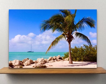 May include: A vibrant beach scene featuring a palm tree, turquoise water, and a sailboat under a bright blue sky with fluffy white clouds. The foreground shows a sandy beach and rocks.