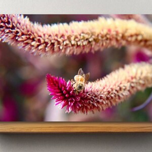 Bee Flower Canvas | Wall decor living room large | artwork original paintings landscape | artwork for walls large | artwork for bathroom