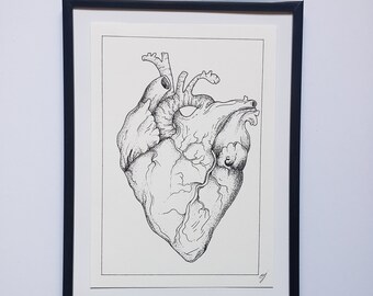 Anatomical drawing in liner, pen, unique, handmade to order, anatomy board, heart, anatomy, A6, A5 and A4 formats