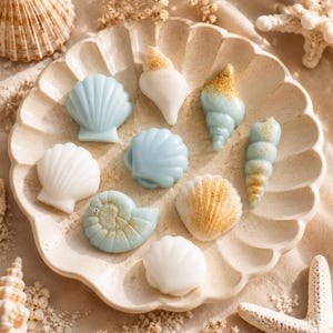 Peut inclure: Une collection de petits savons moulés en forme de coquillages dans des tons blanc et bleu pâle, certains rehaussés de paillettes dorées, disposés sur une coupelle en céramique crème à bords festonnés. Les savons présentent divers motifs.