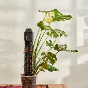 XXL モジュラー モス ポール タワー（ベース付き）（直径：8 CM - 3.1 インチ） - 積み重ね可能で伸縮可能なポール 30 CM セクション（12 インチ） - La Turra（モス タワー デザイン）