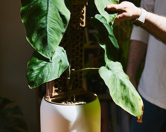 SemiHydro and Self-Watering Anchor Planter - Kaivo