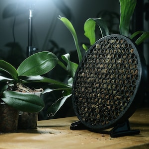 Moss Habitat &quot;Koto&quot;: 3-in-1 Sphagnum Frame for Wall/Shelf/Centrepiece - Lightweight Design Perfect for Staghorns, Platyceriums, Anthuriums