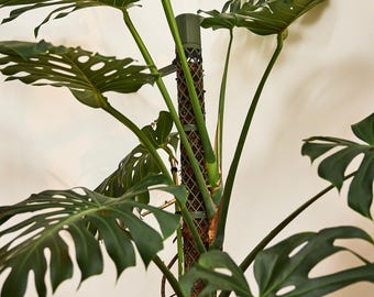 XXLライン モジュラー式苔柱キット