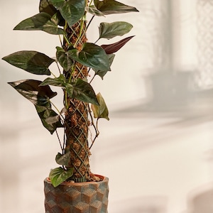 Mât XL modulaire en mousse avec base - Sections empilables et extensibles de 50 à 200 cm (20 à 80 po.) : ajoutez un bouchon anti-goutte à arrosage automatique et de la mousse de sphaigne