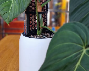 SemiHydro and Self-Watering Anchor Planter - Kaivo