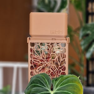 D-Shaped Moss Pole Slow Drip Watering Cap - Self-Watering Cap For D-Moss Pole - Multiple Colours - Personalised Text