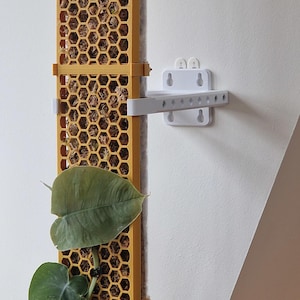 Op de afbeelding: Een witte plastic wandbeugel met een horizontale balk eraan bevestigd. De beugel is bevestigd aan een witte muur. Een geel honingraatvormig paneel is bevestigd aan de muur naast de beugel. Een groene plant groeit uit het paneel.