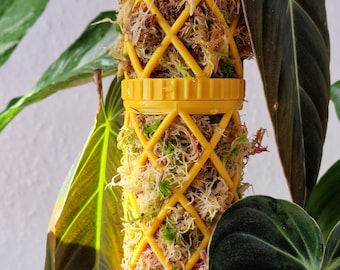 XL Moss Pole Extensions (Only For Existing Products - Pair With Compatible Base/Planter)