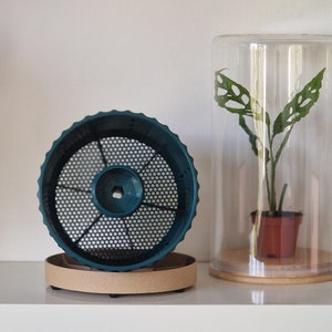 Könnte beinhalten: Ein türkisfarbener Pflanzentopf mit einem Netzeinsatz und einem Holzsockel. Der Topf steht auf einer weißen Oberfläche.