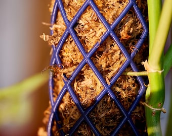 XXL Moss Pole Extensions (Only For Existing Products - Pair With Compatible Base/Planter)