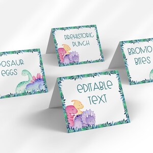 Bearbeitbare rosa Dinosaurier-Geburtstagsfeier-Lebensmitteletiketten | Sofortdownload | Dinosaurier Gastgeschenke | Rosa Geburtstagsparty für Mädchen Dinosaurier Thema