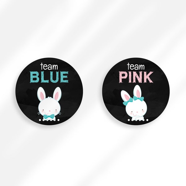 Some Bunny New Gender Reveal Party Gender Reveal Stickers Printable | Team Boy Team Girl Stickers | Gender Reveal Voting Stickers Instant