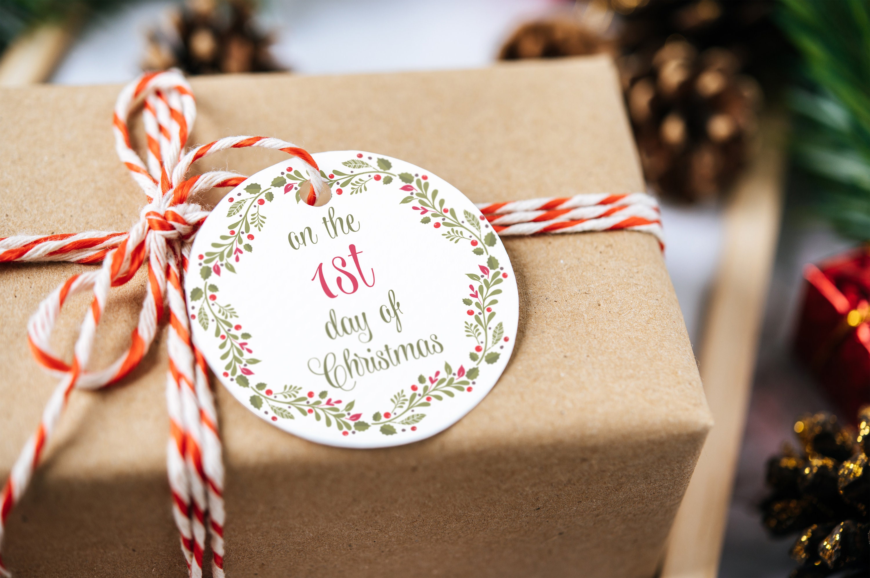 12 Days of Christmas Gift Tags Cards Digital Instant Download 3" Round ...