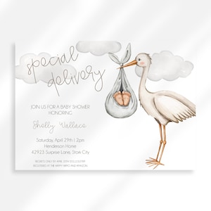 Stork Baby Shower Invitation Gender Neutral Special Delivery Baby Announcement Adoption Shower Invites Special Delivery Baby Sprinkle Invite