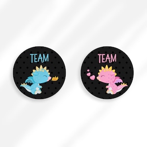 Gender Reveal Stickers | Dragon Gender Reveal Party | Team Boy Team Girl Stickers | Gender Reveal Stickers Printable Team Pink Team Blue
