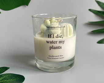 Cacti and Succulents Terrarium Candle | Plant Lover Gift | Unique Candle Gift