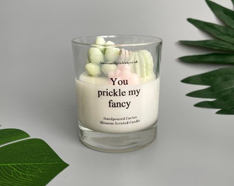 Cacti and Succulents Terrarium Candle | Unique Candle Gift | Plant Lover Gift Idea | Funny Candle Gift