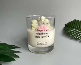 Cacti and Succulents Terrarium Candle | Funny Housewarming Gift | Unique Candle | Plant Lover Gift