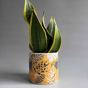 May include: A snake plant with dark green leaves and yellow edges potted in a cylindrical ceramic planter. The planter features a mustard yellow background with a repeating pattern of black and white botanical leaf illustrations and dots.