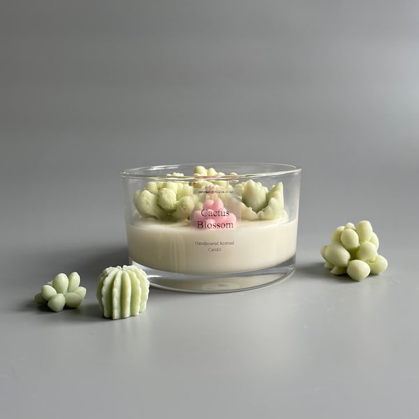 Cacti and Succulents Terrarium Candle | Unique Candle | Handmade Soy Wax Candle | Home Décor Candle |