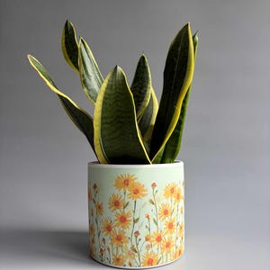 May include: A snake plant with dark green leaves and yellow edges potted in a cylindrical ceramic planter. The planter features a light mint green background decorated with a repeating pattern of yellow daisy-like flowers and thin green stems.