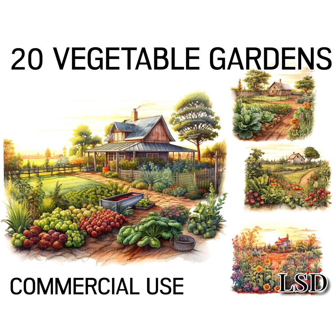 20 Rustic Garden Vegetable Plots Clipart Pack Garden Etsy