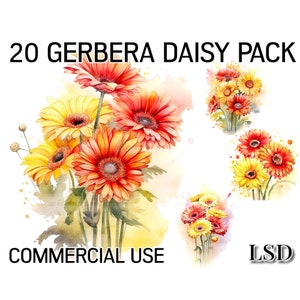 20 Gerbera Daisies, Clipart Bundle, Floral Images Bundle of Red & Orange Gerbera Daisies, Flowers Posies for Scrapbooks, commercial use