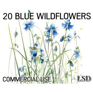 20 Watercolour Flowers,  Clipart Image Bundle-Blue Florals, Wildflower Images, Scrapbooking, Wall Art, Digital Download-Commercial Use
