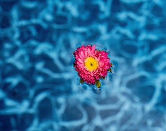 Water Petals– Bold Colorful Floral Wall Art Gift, Macro Flower Photography, Nature Home Decor