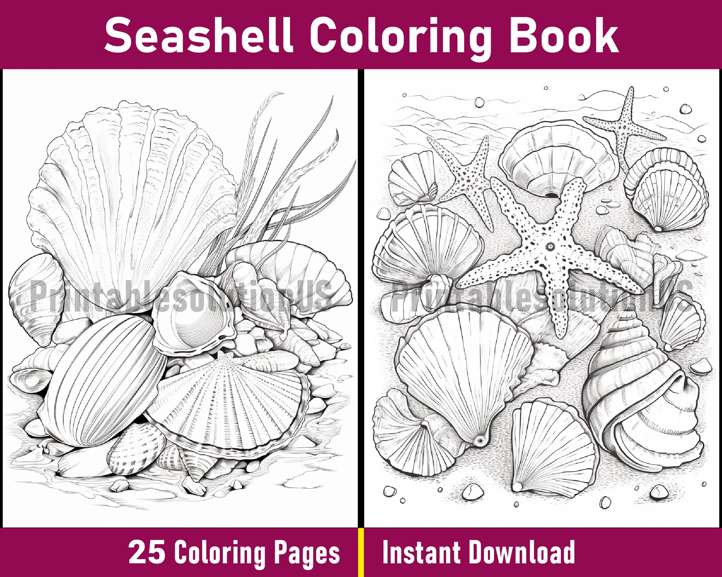 Seashell Coloring Book Printable Seashell Coloring Pages - Etsy