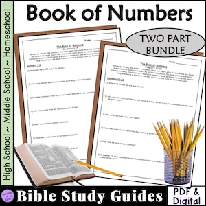 Book of Numbers Bible Study Questions 2-Part Worksheets